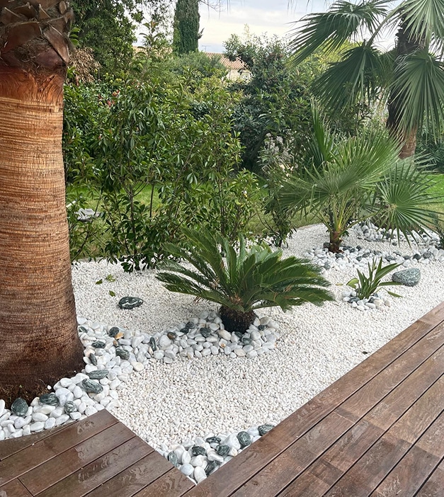 Jardin moderne: Aménagement paysager galets et bois Jardin moderne avec grand palmier, jeunes palmiers et plantes exotiques sur un lit de galets blancs. Terrasse en bois et pierres décoratives.