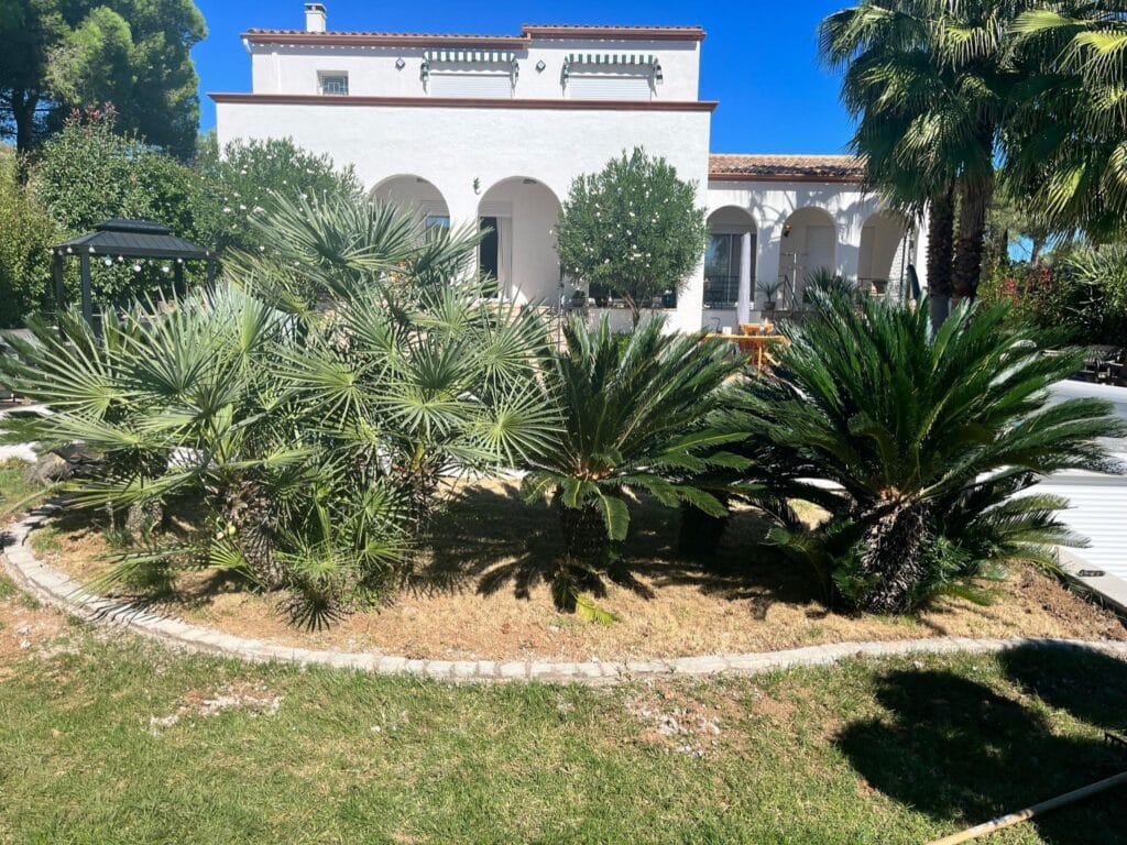 Superbe maison méditerranéenne avec jardin luxuriant et palmiers Maison blanche méditerranéenne avec toit en tuiles et auvents rayés, entourée d'un jardin luxuriant avec palmiers, cycas et pelouse verte sous ciel bleu.